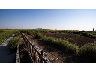 Property photo 126 - FARMLAND AUCTION -747.5+/-ACRES OFFERED IN 11 TRACTS IN FRANKLIN COUNTY, WASHINGTON