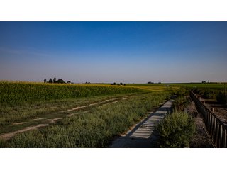 Property photo 11 - FARMLAND AUCTION -747.5+/-ACRES OFFERED IN 11 TRACTS IN FRANKLIN COUNTY, WASHINGTON