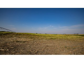 Property photo 135 - FARMLAND AUCTION -747.5+/-ACRES OFFERED IN 11 TRACTS IN FRANKLIN COUNTY, WASHINGTON