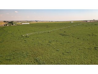 Property photo 137 - FARMLAND AUCTION -747.5+/-ACRES OFFERED IN 11 TRACTS IN FRANKLIN COUNTY, WASHINGTON