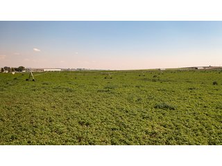 Property photo 138 - FARMLAND AUCTION -747.5+/-ACRES OFFERED IN 11 TRACTS IN FRANKLIN COUNTY, WASHINGTON