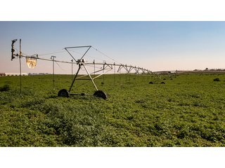 Property photo 139 - FARMLAND AUCTION -747.5+/-ACRES OFFERED IN 11 TRACTS IN FRANKLIN COUNTY, WASHINGTON
