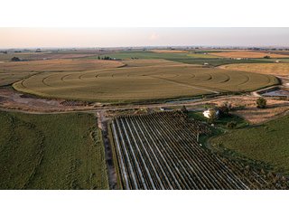 Property photo 32 - FARMLAND AUCTION -747.5+/-ACRES OFFERED IN 11 TRACTS IN FRANKLIN COUNTY, WASHINGTON