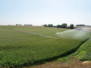 Property photo 626 - FARMLAND AUCTION -747.5+/-ACRES OFFERED IN 11 TRACTS IN FRANKLIN COUNTY, WASHINGTON