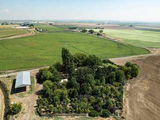 Property photo 583 - FARMLAND AUCTION -747.5+/-ACRES OFFERED IN 11 TRACTS IN FRANKLIN COUNTY, WASHINGTON