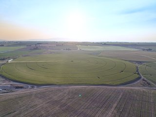 Property photo 25 - FARMLAND AUCTION -747.5+/-ACRES OFFERED IN 11 TRACTS IN FRANKLIN COUNTY, WASHINGTON