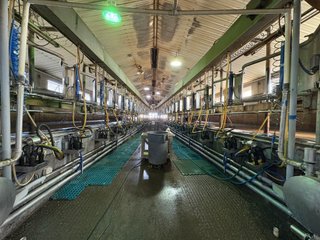 Milking Parlor - FARMLAND AUCTION -747.5+/-ACRES OFFERED IN 11 TRACTS IN FRANKLIN COUNTY, WASHINGTON