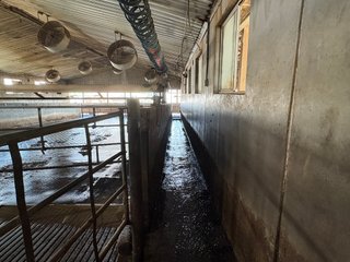 Milking Parlor - FARMLAND AUCTION -747.5+/-ACRES OFFERED IN 11 TRACTS IN FRANKLIN COUNTY, WASHINGTON