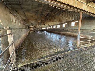 Milking Parlor - FARMLAND AUCTION -747.5+/-ACRES OFFERED IN 11 TRACTS IN FRANKLIN COUNTY, WASHINGTON