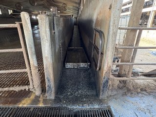 Milking Parlor - FARMLAND AUCTION -747.5+/-ACRES OFFERED IN 11 TRACTS IN FRANKLIN COUNTY, WASHINGTON
