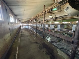 Milking Parlor - FARMLAND AUCTION -747.5+/-ACRES OFFERED IN 11 TRACTS IN FRANKLIN COUNTY, WASHINGTON