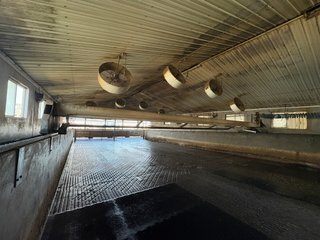 Milking Parlor - FARMLAND AUCTION -747.5+/-ACRES OFFERED IN 11 TRACTS IN FRANKLIN COUNTY, WASHINGTON
