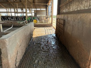 Freestall Barns - FARMLAND AUCTION -747.5+/-ACRES OFFERED IN 11 TRACTS IN FRANKLIN COUNTY, WASHINGTON