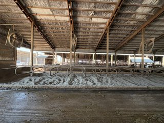 Freestall Barns - FARMLAND AUCTION -747.5+/-ACRES OFFERED IN 11 TRACTS IN FRANKLIN COUNTY, WASHINGTON