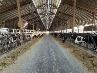 Freestall Barns - FARMLAND AUCTION -747.5+/-ACRES OFFERED IN 11 TRACTS IN FRANKLIN COUNTY, WASHINGTON