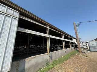 Freestall Barns - FARMLAND AUCTION -747.5+/-ACRES OFFERED IN 11 TRACTS IN FRANKLIN COUNTY, WASHINGTON
