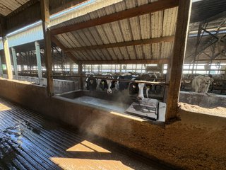 Freestall Barns - FARMLAND AUCTION -747.5+/-ACRES OFFERED IN 11 TRACTS IN FRANKLIN COUNTY, WASHINGTON