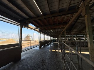 Freestall Barns - FARMLAND AUCTION -747.5+/-ACRES OFFERED IN 11 TRACTS IN FRANKLIN COUNTY, WASHINGTON