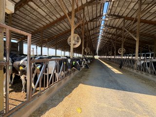 Freestall Barns - FARMLAND AUCTION -747.5+/-ACRES OFFERED IN 11 TRACTS IN FRANKLIN COUNTY, WASHINGTON