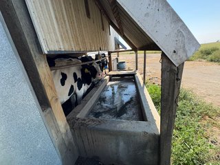 Freestall Barns - FARMLAND AUCTION -747.5+/-ACRES OFFERED IN 11 TRACTS IN FRANKLIN COUNTY, WASHINGTON