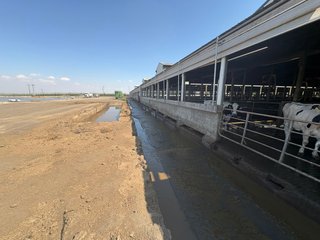 Manure System - FARMLAND AUCTION -747.5+/-ACRES OFFERED IN 11 TRACTS IN FRANKLIN COUNTY, WASHINGTON