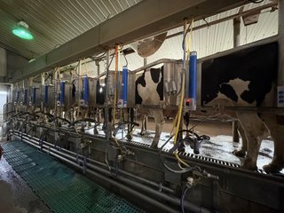 Milking Parlor - FARMLAND AUCTION -747.5+/-ACRES OFFERED IN 11 TRACTS IN FRANKLIN COUNTY, WASHINGTON