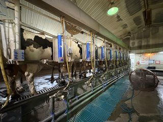Milking Parlor - FARMLAND AUCTION -747.5+/-ACRES OFFERED IN 11 TRACTS IN FRANKLIN COUNTY, WASHINGTON
