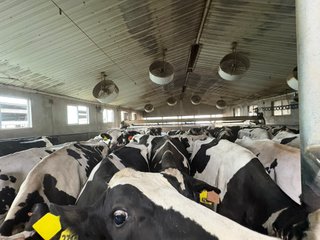 Milking Parlor - FARMLAND AUCTION -747.5+/-ACRES OFFERED IN 11 TRACTS IN FRANKLIN COUNTY, WASHINGTON