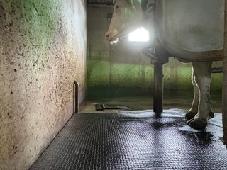 Milking Parlor - FARMLAND AUCTION -747.5+/-ACRES OFFERED IN 11 TRACTS IN FRANKLIN COUNTY, WASHINGTON