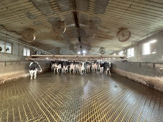 Milking Parlor - FARMLAND AUCTION -747.5+/-ACRES OFFERED IN 11 TRACTS IN FRANKLIN COUNTY, WASHINGTON