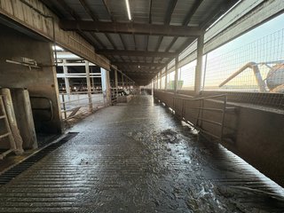 Freestall Barns - FARMLAND AUCTION -747.5+/-ACRES OFFERED IN 11 TRACTS IN FRANKLIN COUNTY, WASHINGTON
