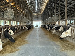 Freestall Barns - FARMLAND AUCTION -747.5+/-ACRES OFFERED IN 11 TRACTS IN FRANKLIN COUNTY, WASHINGTON