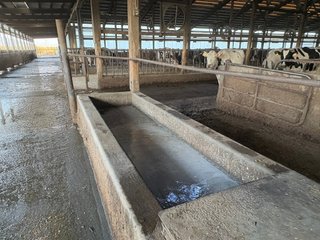 Freestall Barns - FARMLAND AUCTION -747.5+/-ACRES OFFERED IN 11 TRACTS IN FRANKLIN COUNTY, WASHINGTON