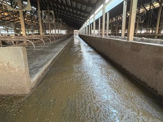 Freestall Barns - FARMLAND AUCTION -747.5+/-ACRES OFFERED IN 11 TRACTS IN FRANKLIN COUNTY, WASHINGTON