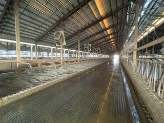 Freestall Barns - FARMLAND AUCTION -747.5+/-ACRES OFFERED IN 11 TRACTS IN FRANKLIN COUNTY, WASHINGTON