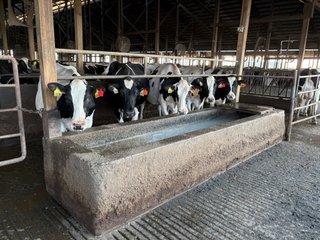 Freestall Barns - FARMLAND AUCTION -747.5+/-ACRES OFFERED IN 11 TRACTS IN FRANKLIN COUNTY, WASHINGTON