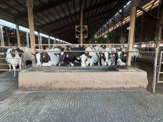 Freestall Barns - FARMLAND AUCTION -747.5+/-ACRES OFFERED IN 11 TRACTS IN FRANKLIN COUNTY, WASHINGTON