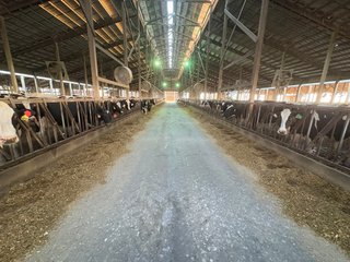 Freestall Barns - FARMLAND AUCTION -747.5+/-ACRES OFFERED IN 11 TRACTS IN FRANKLIN COUNTY, WASHINGTON