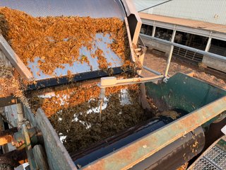 Manure System - FARMLAND AUCTION -747.5+/-ACRES OFFERED IN 11 TRACTS IN FRANKLIN COUNTY, WASHINGTON