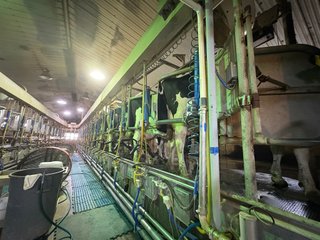 Milking Parlor - FARMLAND AUCTION -747.5+/-ACRES OFFERED IN 11 TRACTS IN FRANKLIN COUNTY, WASHINGTON