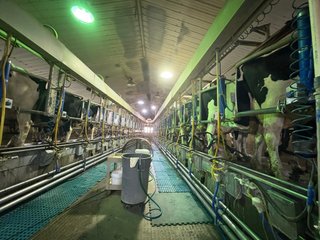 Milking Parlor - FARMLAND AUCTION -747.5+/-ACRES OFFERED IN 11 TRACTS IN FRANKLIN COUNTY, WASHINGTON