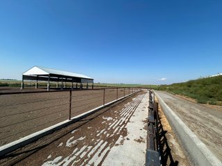 West Dry Lots - FARMLAND AUCTION -747.5+/-ACRES OFFERED IN 11 TRACTS IN FRANKLIN COUNTY, WASHINGTON