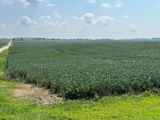 Property photo 20 - REAL ESTATE AUCTION - 107.5+/- ACRES OFFERED IN 3 TRACTS IN FAYETTE COUNTY, INDIANA