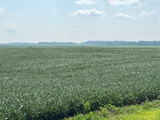 Property photo 19 - REAL ESTATE AUCTION - 107.5+/- ACRES OFFERED IN 3 TRACTS IN FAYETTE COUNTY, INDIANA