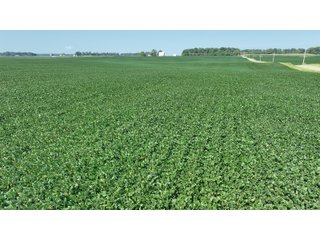 Property photo 11 - REAL ESTATE AUCTION - 107.5+/- ACRES OFFERED IN 3 TRACTS IN FAYETTE COUNTY, INDIANA