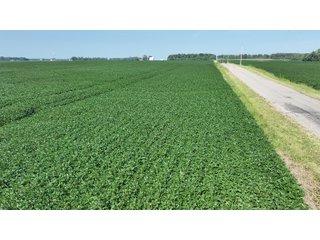 Property photo 8 - REAL ESTATE AUCTION - 107.5+/- ACRES OFFERED IN 3 TRACTS IN FAYETTE COUNTY, INDIANA