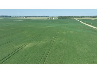 Property photo 6 - REAL ESTATE AUCTION - 107.5+/- ACRES OFFERED IN 3 TRACTS IN FAYETTE COUNTY, INDIANA