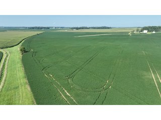 Property photo 5 - REAL ESTATE AUCTION - 107.5+/- ACRES OFFERED IN 3 TRACTS IN FAYETTE COUNTY, INDIANA