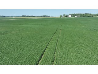 Property photo 4 - REAL ESTATE AUCTION - 107.5+/- ACRES OFFERED IN 3 TRACTS IN FAYETTE COUNTY, INDIANA