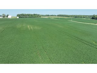 Property photo 2 - REAL ESTATE AUCTION - 107.5+/- ACRES OFFERED IN 3 TRACTS IN FAYETTE COUNTY, INDIANA